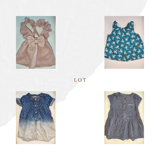 Lot de Robe 9 Mois